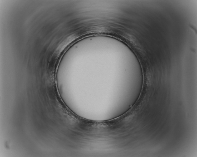 X0000103901073200809191233
