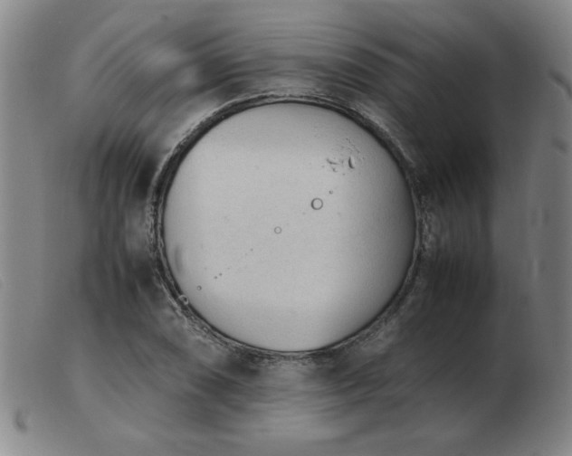 X0000103901074200809191233