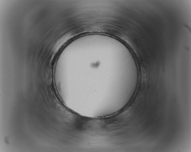 X0000103901075200809191233