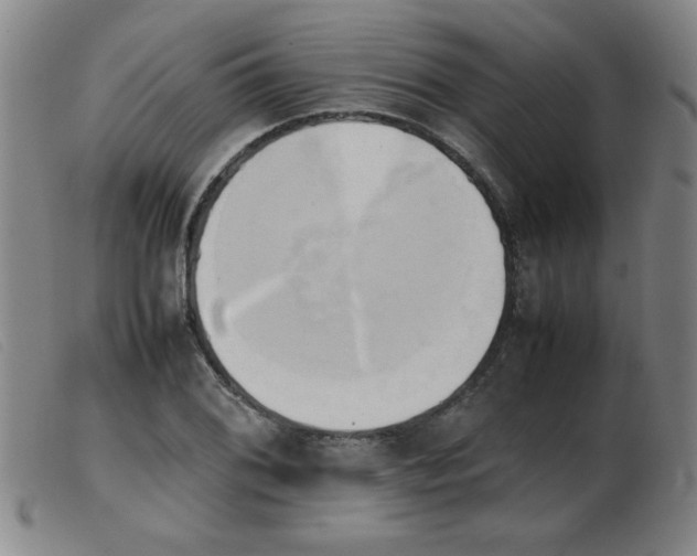 X0000103901076200809191233