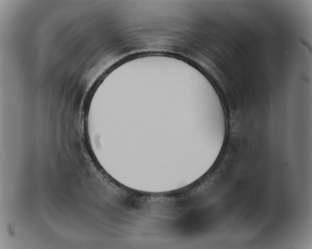 X0000103901077200809191233