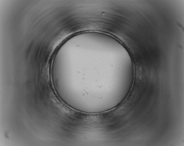 X0000103901078200809191233