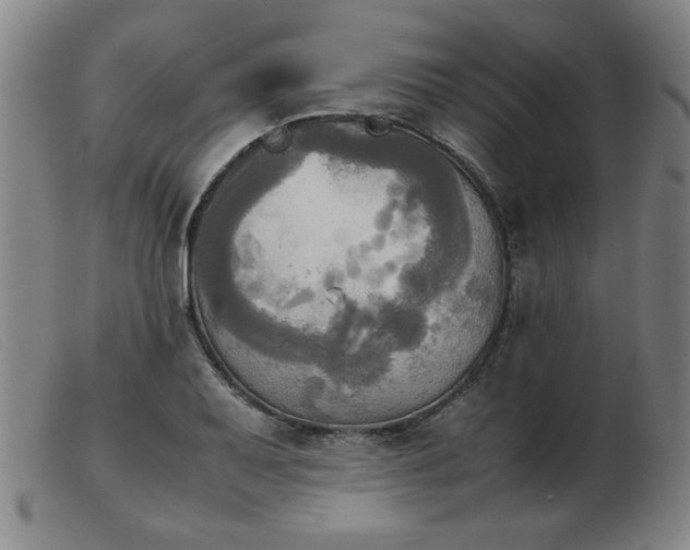 X0000103901079200809191233