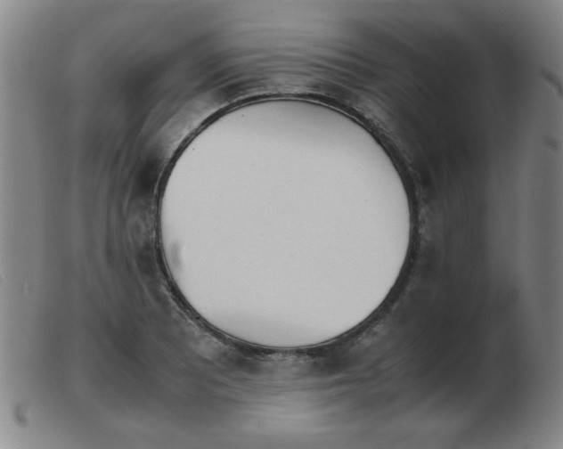 X0000103901081200809191233