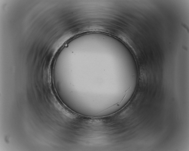 X0000103901082200809191233