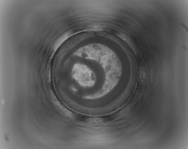 X0000103901083200809191233
