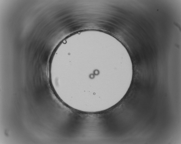 X0000103901084200809191233