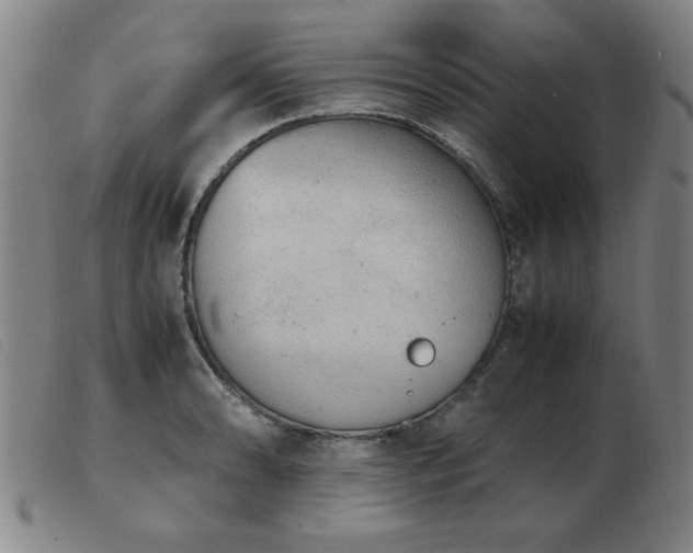 X0000103901086200809191233