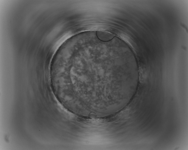 X0000103901087200809191233
