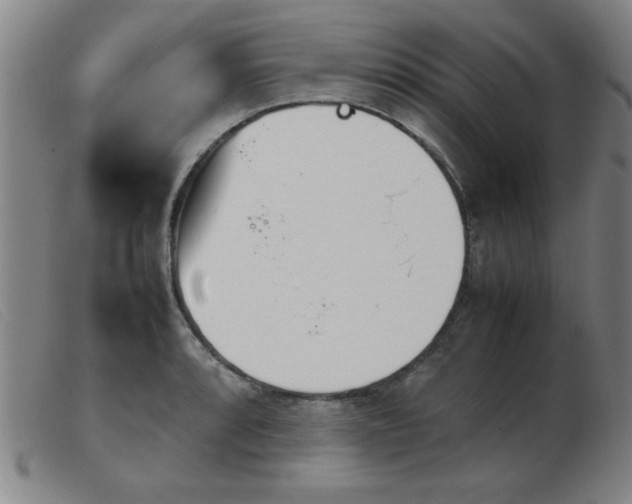 X0000103901088200809191233