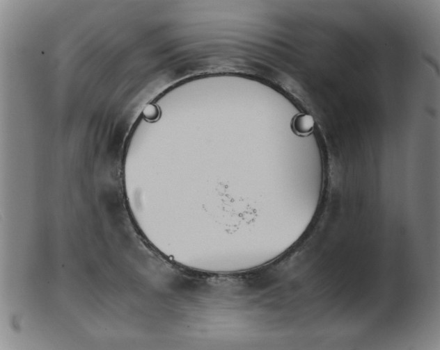 X0000103901089200809191233