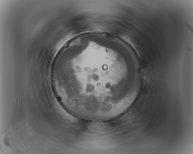 X0000103901091200809191233