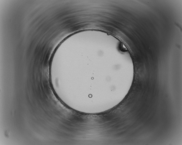 X0000103901092200809191233