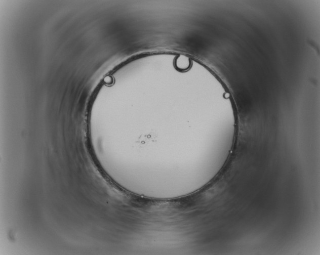 X0000103901093200809191233