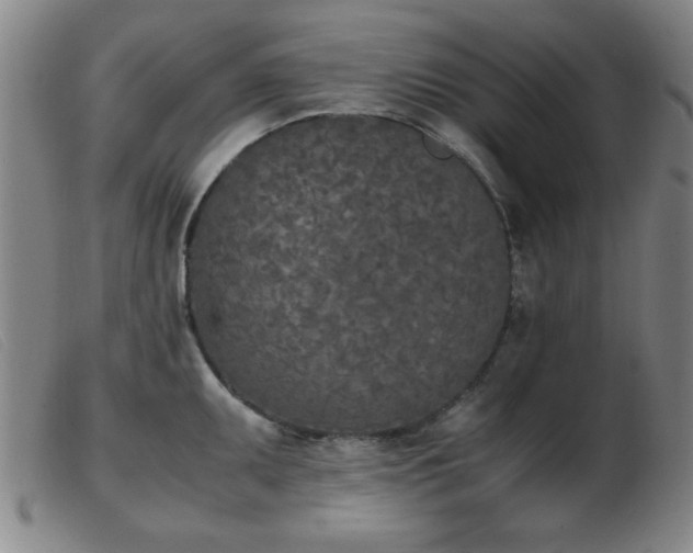 X0000103901095200809191233