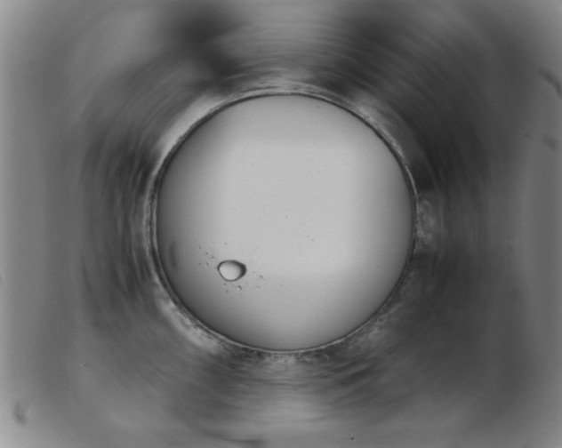X0000103901098200809191233