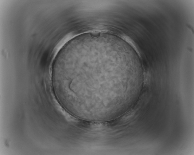 X0000103901099200809191232