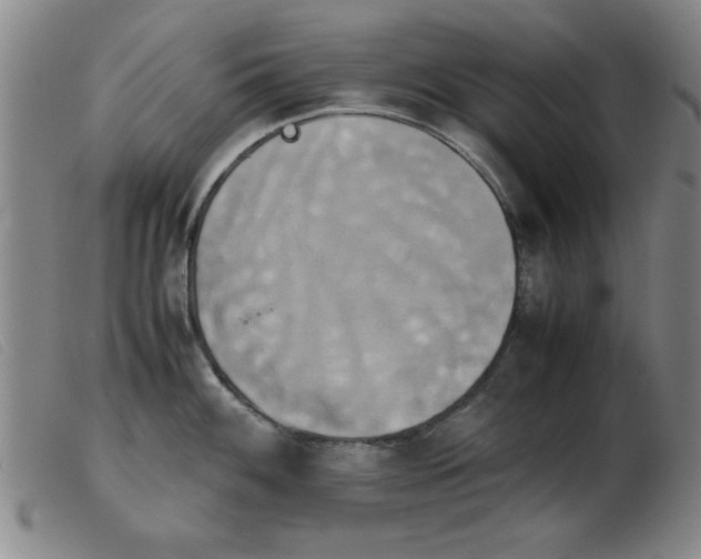 X0000103901100200809191232