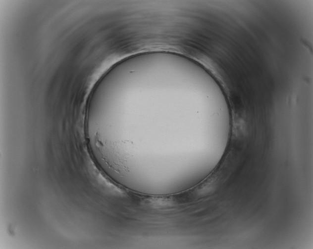 X0000103901102200809191232