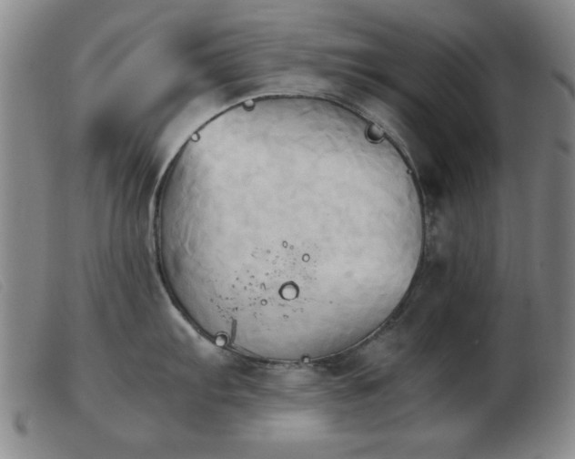 X0000103901103200809191232