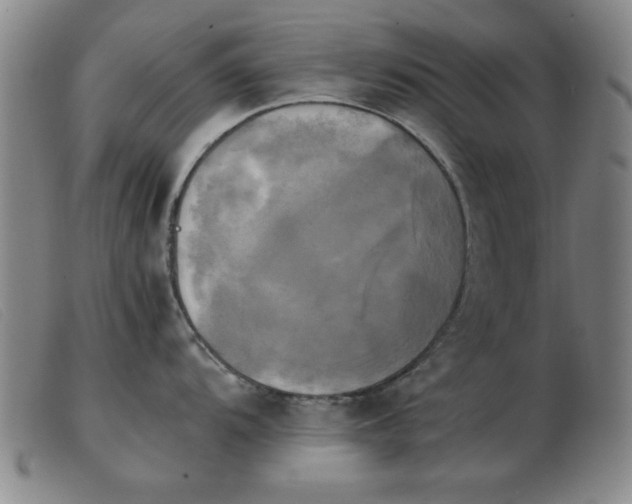 X0000103901104200809191232
