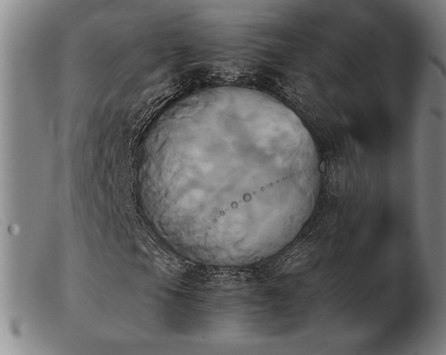 X0000103901105200809191231