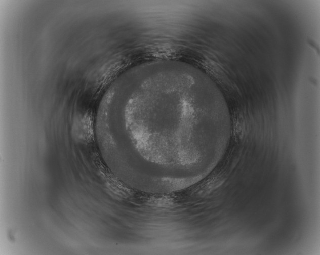X0000103901106200809191231