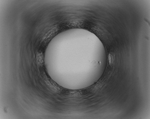 X0000103901107200809191231