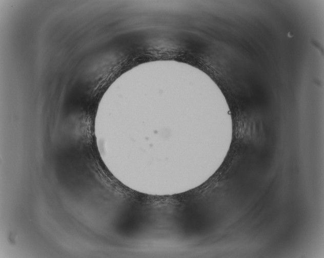 X0000103901108200809191231
