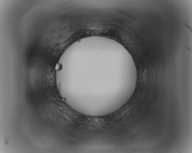 X0000103901109200809191231