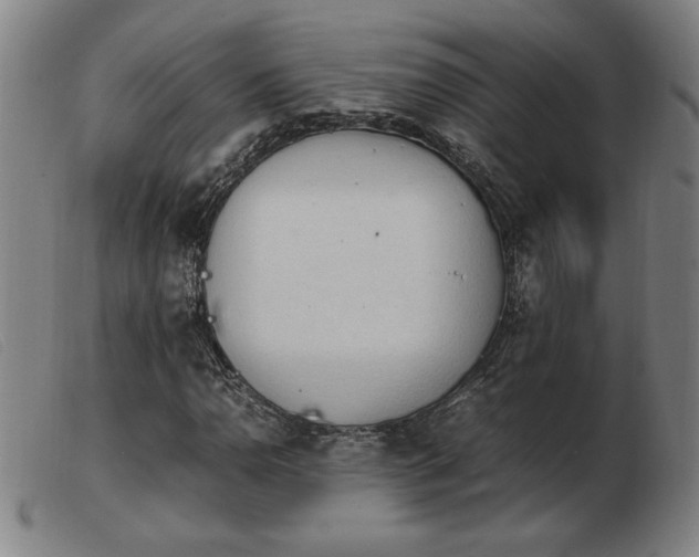X0000103901110200809191231