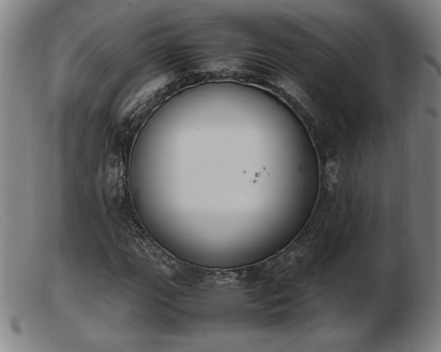 X0000103901111200809191232