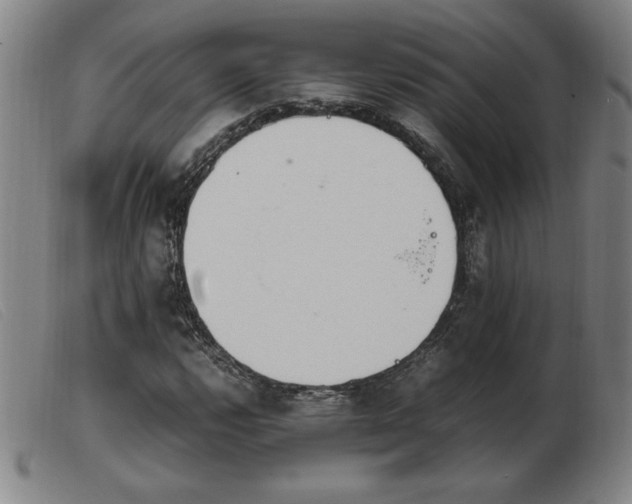 X0000103901112200809191232