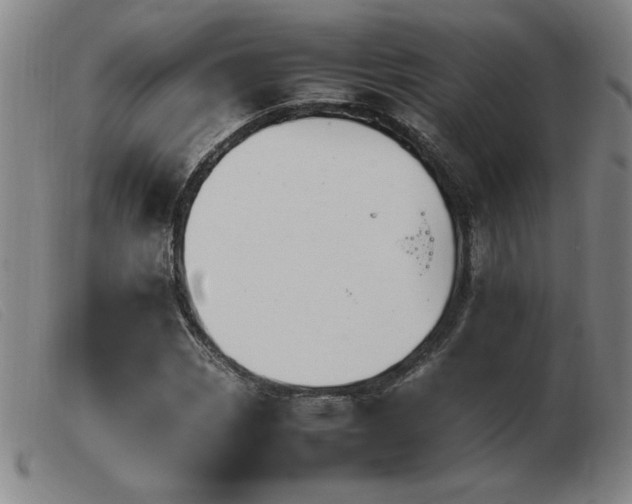 X0000103901113200809191232