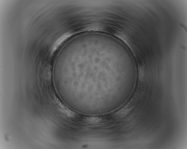 X0000103901115200809191232