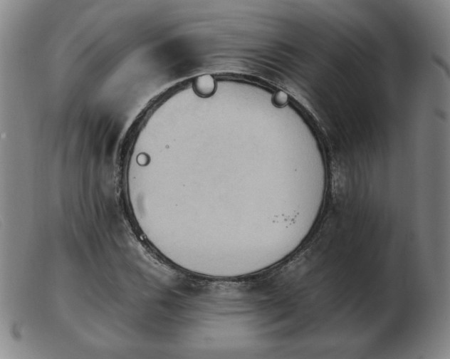 X0000103901116200809191232