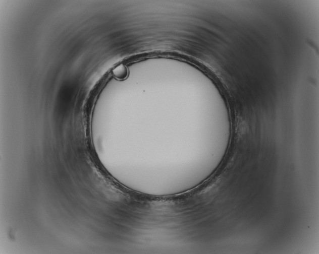 X0000103901118200809191232