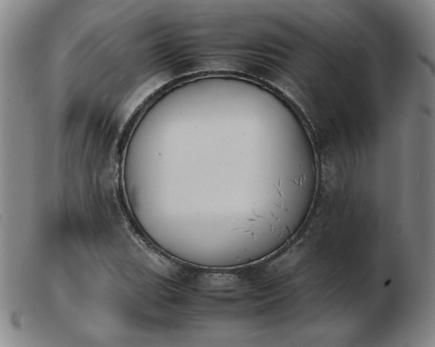 X0000103901119200809191232