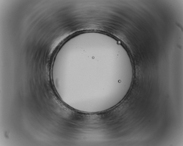 X0000103901120200809191232