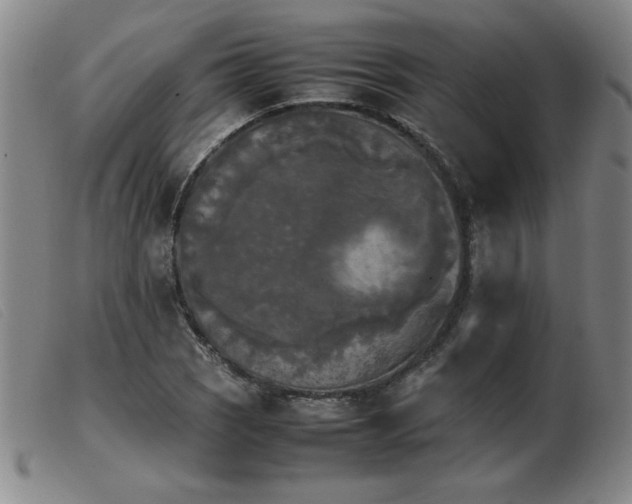 X0000103901121200809191232
