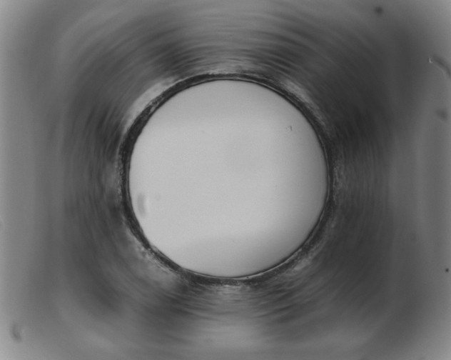 X0000103901122200809191232