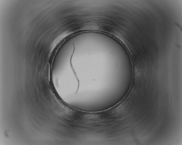 X0000103901123200809191232
