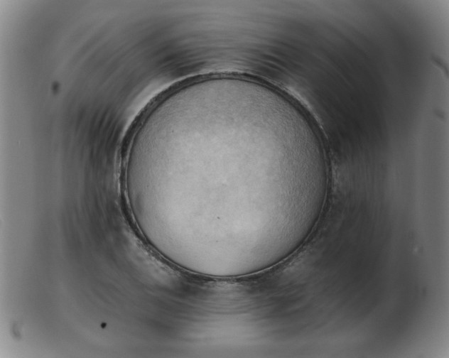 X0000103901124200809191232