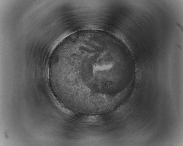 X0000103901125200809191232