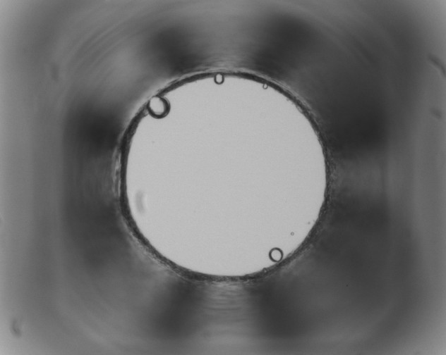 X0000103901126200809191232
