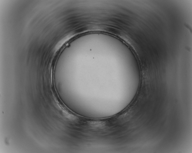 X0000103901127200809191232