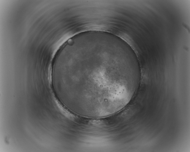 X0000103901128200809191232