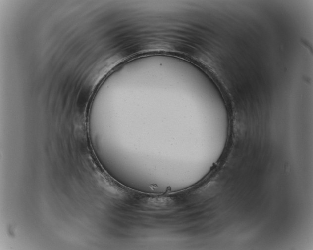 X0000103901129200809191232