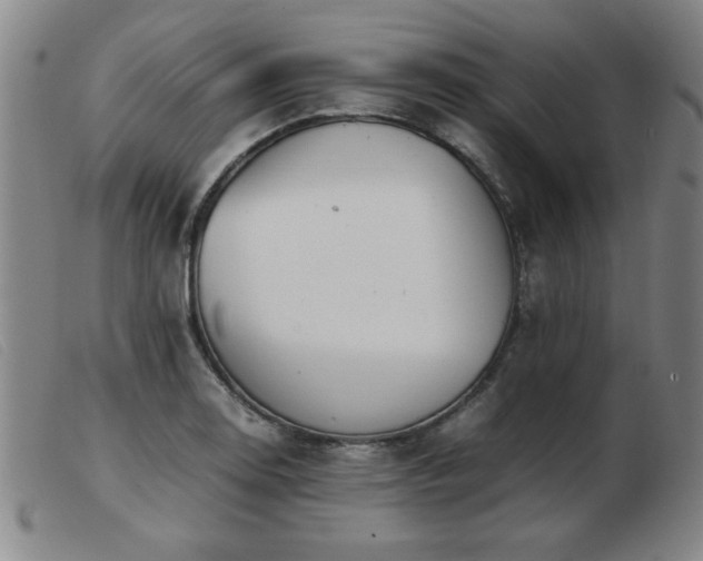 X0000103901130200809191232