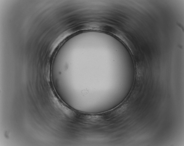 X0000103901131200809191232